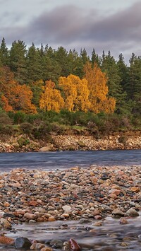 Jesienne drzewa nad rzeką River Dee