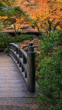 Jesienne drzewa przy mostku w ogrodzie japońskim