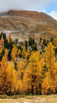Jesienny krajobraz w Dolomitach