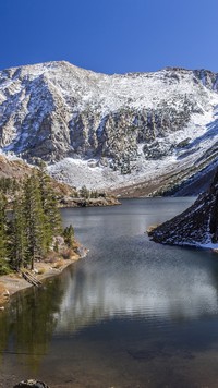 Jezioro Ellery w Parku Narodowym Yosemite