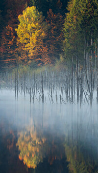 Jezioro Lacul Cuejdel