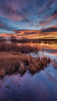 Jezioro Lake Chatfield porośnięte trawą