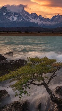 Jezioro Pehoe Lake w Chile