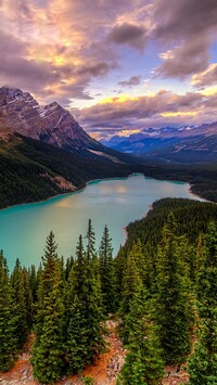 Jezioro Peyto Lake