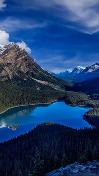 Jezioro Peyto Lake w Parku Narodowym Banff