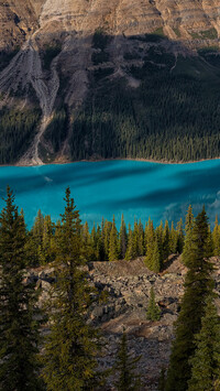 Jezioro Peyto w Parku Narodowym Banff