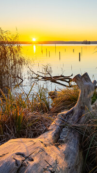 Jezioro Schwielochsee o wschodzie słońca