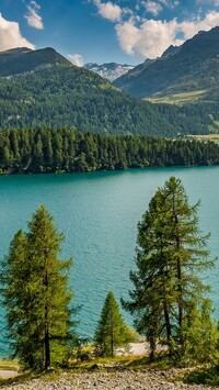 Jezioro Silsersee w Szwajcarii