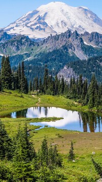 Jezioro Tipsoo Lake i ośnieżony stratowulkan Mount Rainier