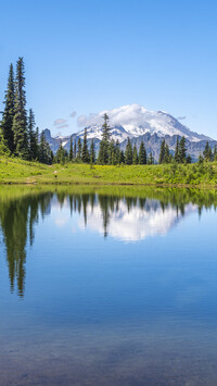 Jezioro Tipsoo Lake