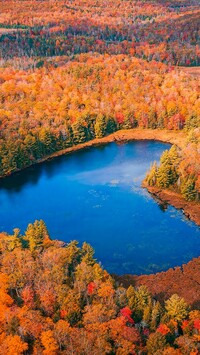 Jezioro w kształcie serca wśród jesiennych lasów