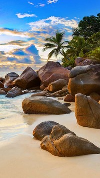 Kamienista plaża z palmami nad Oceanem Indyjskim