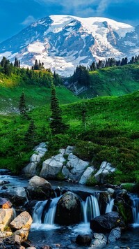 Kamienisty potok w Parku Narodowym Mount Rainier