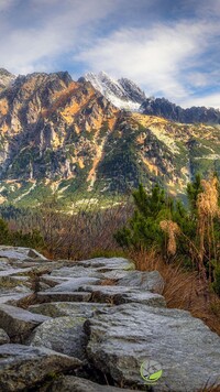 Kamienna ścieżka w Tatrach