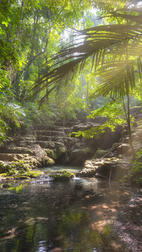 Kamienne schody w dżungli