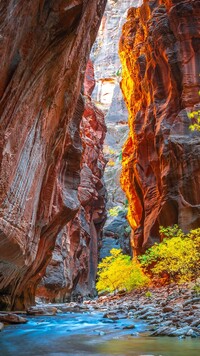 Kanion i rzeka Virgin River