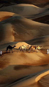 Karawana na pustyni