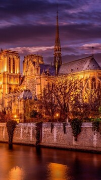 Katedra Notre Dame