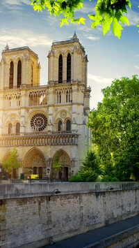 Katedra Notre Dame