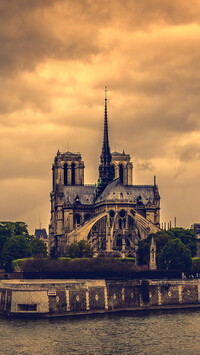 Katedra Notre Dame