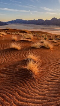 Kępki suchej trawy na pustyni