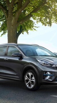 Kia e-Niro pod drzewem