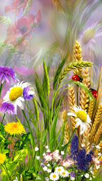 Kłosy zbóż między kwiatami