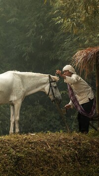 Kobieta i biały koń