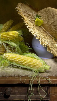 Kolby kukurydzy obok kapelusza