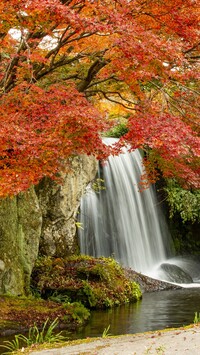 Kolorowe jesienne drzewa przy wodospadzie