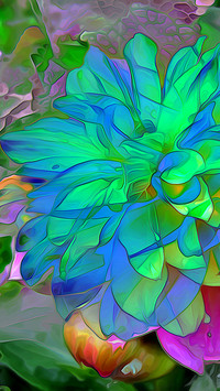 Kolorowe kwiaty z fractaliusa