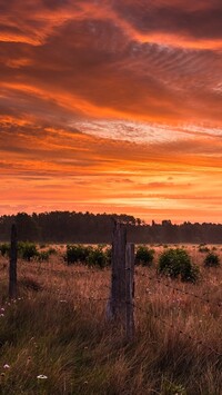 Kolorowe niebo nad łąką