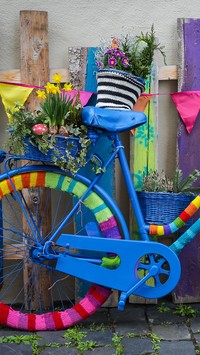 Kolorowy rower