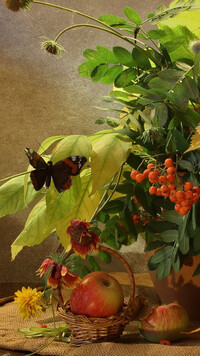 Kompozycja z motylem na liściach