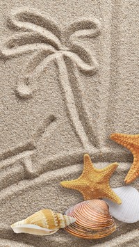 Kompozycja z muszelkami i rozgwiazdami na piasku