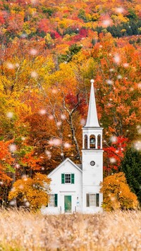 Kościół na tle jesiennych drzew