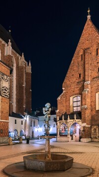 Kościół św Barbary w Krakowie nocą