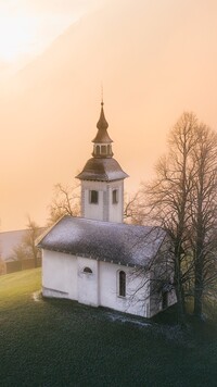 Kościół św Primusa i Felicjana