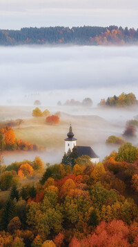 Kościół wśród jesiennych drzew