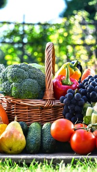 Kosz warzyw i owoców