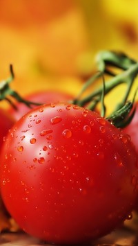 Krople wody na pomidorach