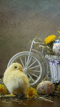 Kurczak obok rowerka z pisankami