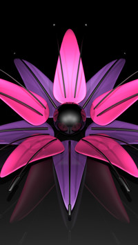 Kwiat w 3D