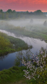Łąka nad rzeką Uzola we mgle