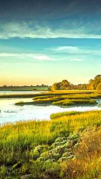 Łąki nad rzeką River Deben