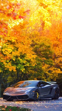 Lamborghini w jesiennym klimacie