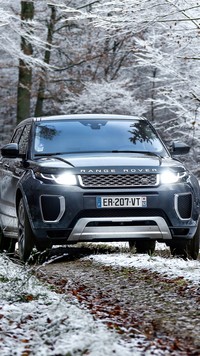 Land Rover Range Rover Evoque na leśnej drodze