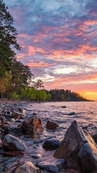 Las nad jeziorem Superior Lake o zmierzchu