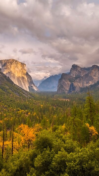 Lasy w dolinie Yosemite Valley