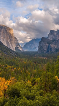 Lasy w dolinie Yosemite Valley